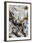 Abstract of Driftwood on the Beach, Jekyll Island, Georgia, USA-Joanne Wells-Framed Photographic Print