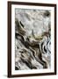 Abstract of Driftwood on the Beach, Jekyll Island, Georgia, USA-Joanne Wells-Framed Photographic Print