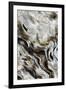 Abstract of Driftwood on the Beach, Jekyll Island, Georgia, USA-Joanne Wells-Framed Photographic Print