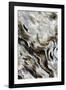 Abstract of Driftwood on the Beach, Jekyll Island, Georgia, USA-Joanne Wells-Framed Photographic Print