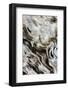 Abstract of Driftwood on the Beach, Jekyll Island, Georgia, USA-Joanne Wells-Framed Photographic Print