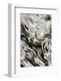 Abstract of Driftwood on the Beach, Jekyll Island, Georgia, USA-Joanne Wells-Framed Photographic Print