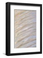 Abstract of flowing water-Lisa Engelbrecht-Framed Photographic Print