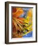 Abstract of Lily Stamens in Reflection-Nancy Rotenberg-Framed Photographic Print