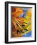 Abstract of Lily Stamens in Reflection-Nancy Rotenberg-Framed Photographic Print