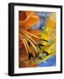 Abstract of Lily Stamens in Reflection-Nancy Rotenberg-Framed Photographic Print