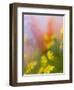 Abstract of Poppies and Wildflowers, Antelope Valley, California, USA-Ellen Anon-Framed Photographic Print