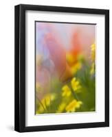 Abstract of Poppies and Wildflowers, Antelope Valley, California, USA-Ellen Anon-Framed Photographic Print