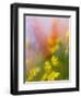 Abstract of Poppies and Wildflowers, Antelope Valley, California, USA-Ellen Anon-Framed Photographic Print