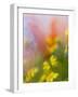 Abstract of Poppies and Wildflowers, Antelope Valley, California, USA-Ellen Anon-Framed Photographic Print