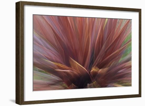 Abstract of Red Flax Plant, Portland, Oregon, USA-Jaynes Gallery-Framed Photographic Print