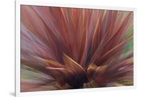 Abstract of Red Flax Plant, Portland, Oregon, USA-Jaynes Gallery-Framed Photographic Print