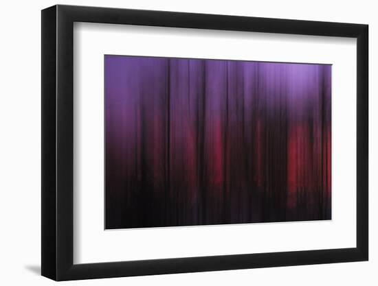 Abstract of Trees at Sunset, Upper Mississippi, Le Claire Iowa-Rona Schwarz-Framed Photographic Print