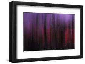 Abstract of Trees at Sunset, Upper Mississippi, Le Claire Iowa-Rona Schwarz-Framed Photographic Print