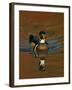 Abstract of Wood Duck Drake Swimming in Autumn Color Reflections, Chagrin Reservation, Cleveland-Arthur Morris-Framed Photographic Print