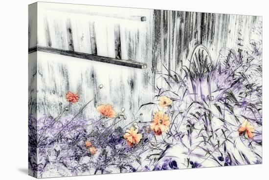 Abstract of Wooden Building and Garden, Canada-Jaynes Gallery-Stretched Canvas