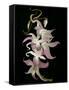 Abstract Orchid Artwork-Ellen Anon-Framed Stretched Canvas