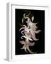 Abstract Orchid Artwork-Ellen Anon-Framed Photographic Print