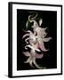 Abstract Orchid Artwork-Ellen Anon-Framed Photographic Print