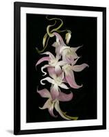 Abstract Orchid Artwork-Ellen Anon-Framed Photographic Print