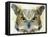 Abstract Owl-Ancello-Framed Stretched Canvas