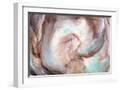 White Frame