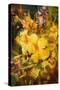 Abstract Painting of Vibrant Yellow Flowers,Illustration-Tithi Luadthong-Stretched Canvas