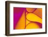 Abstract Paper Background-Comaniciu Dan-Framed Photographic Print