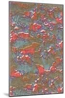 Abstract Pattern-Found Image Press-Mounted Giclee Print