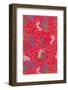 Abstract Pattern-Found Image Holdings Inc-Framed Photographic Print