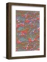 Abstract Pattern-Found Image Holdings Inc-Framed Photographic Print