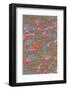 Abstract Pattern-Found Image Holdings Inc-Framed Photographic Print