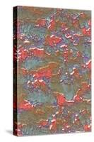 Abstract Pattern-Found Image Holdings Inc-Stretched Canvas