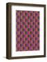 Abstract Pattern-Found Image Holdings Inc-Framed Photographic Print