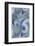 Abstract Pattern-Found Image Holdings Inc-Framed Photographic Print