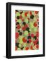 Abstract Pattern-Found Image Holdings Inc-Framed Photographic Print