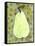 Abstract Pear With Swirls-Blenda Tyvoll-Framed Stretched Canvas