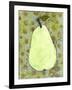 Abstract Pear With Swirls-Blenda Tyvoll-Framed Art Print