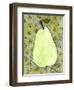 Abstract Pear With Swirls-Blenda Tyvoll-Framed Art Print