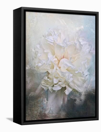 Abstract Peony in Blue-Jai Johnson-Framed Stretched Canvas