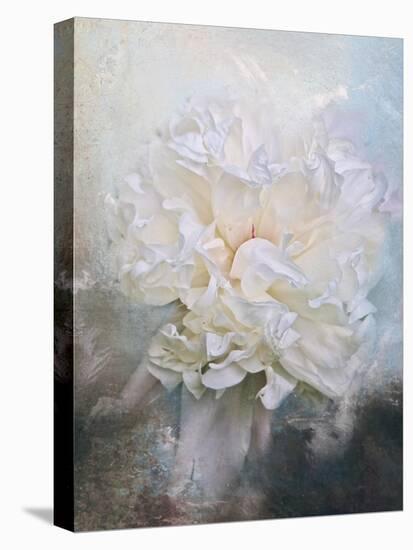 Abstract Peony in Blue-Jai Johnson-Stretched Canvas