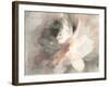 Abstract Peony-Danhui Nai-Framed Art Print