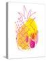 Abstract Pineapple-Jennifer McCully-Stretched Canvas