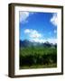 Abstract Polygonal Landscape Background with Gray Mountains, Clouds, Blue Sky and Deep Green Forest-Daria Iva-Framed Art Print