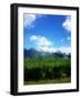Abstract Polygonal Landscape Background with Gray Mountains, Clouds, Blue Sky and Deep Green Forest-Daria Iva-Framed Art Print