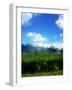 Abstract Polygonal Landscape Background with Gray Mountains, Clouds, Blue Sky and Deep Green Forest-Daria Iva-Framed Art Print