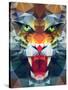 Abstract Polygonal Tiger. Geometric Hipster Illustration. Polygonal Poster-Merfin-Stretched Canvas