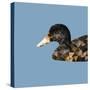 Abstract Polygonal Vector Illustration. Portrait of Duck-Jan Fidler-Stretched Canvas