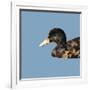 Abstract Polygonal Vector Illustration. Portrait of Duck-Jan Fidler-Framed Art Print