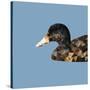 Abstract Polygonal Vector Illustration. Portrait of Duck-Jan Fidler-Stretched Canvas